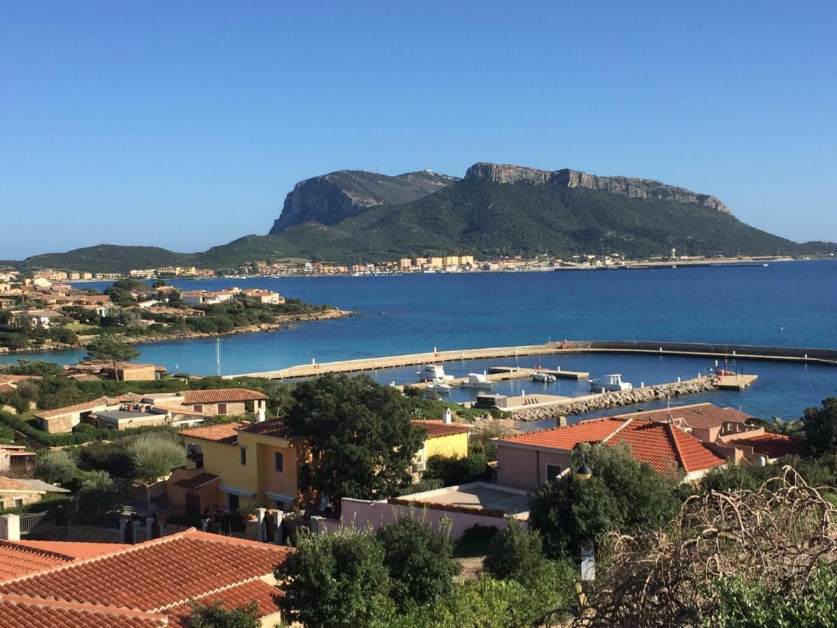 Blue Portrait House Apartment Golfo Aranci Bagian luar foto