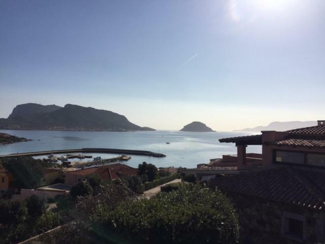 Blue Portrait House Apartment Golfo Aranci Bagian luar foto