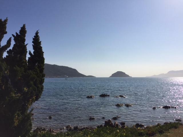 Blue Portrait House Apartment Golfo Aranci Bagian luar foto