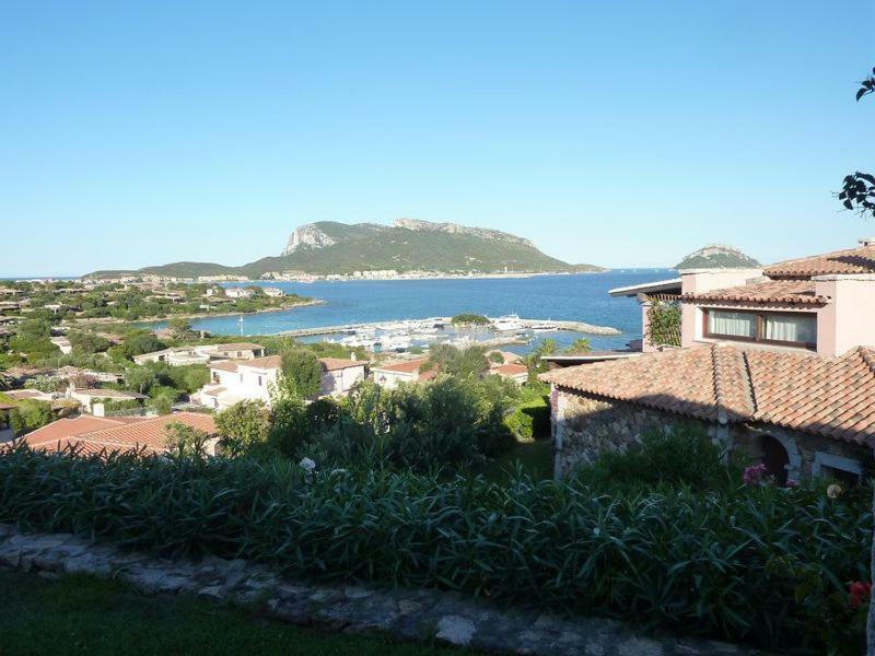 Blue Portrait House Apartment Golfo Aranci Bagian luar foto