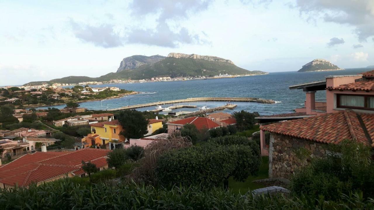 Blue Portrait House Apartment Golfo Aranci Bagian luar foto